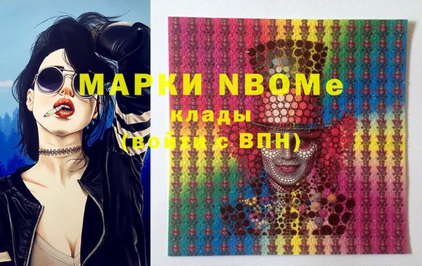 МДПВ Пересвет